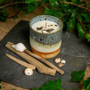 Rocksalt and Driftwood Scented Single Wick Candle