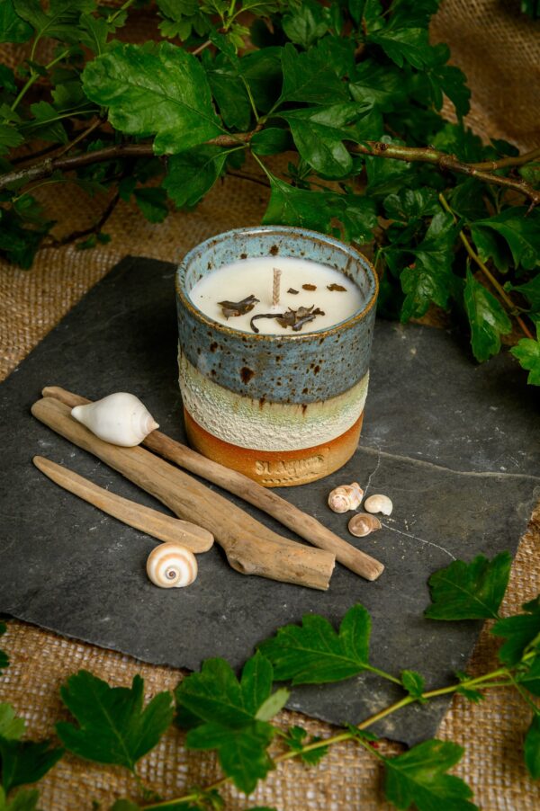 Rocksalt and Driftwood Scented Single Wick Candle